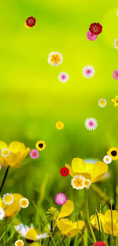 Yellow flowers in a vibrant green meadow wallpaper.