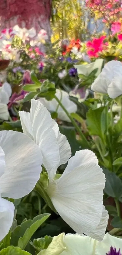 Vibrant flowers blooming in a spring garden with lush greenery.