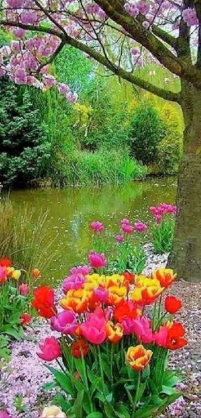 Colorful tulips blooming by a pond in spring.