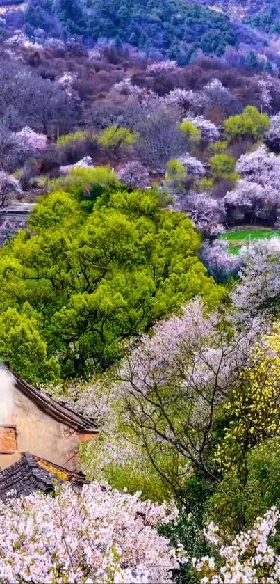 Vibrant spring hillside with lush greenery and colorful blooms.