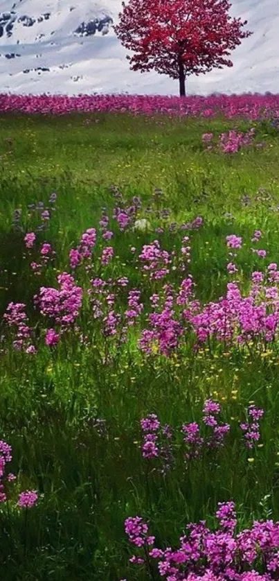 Vibrant pink meadow with a lone tree and snow-capped mountain backdrop.