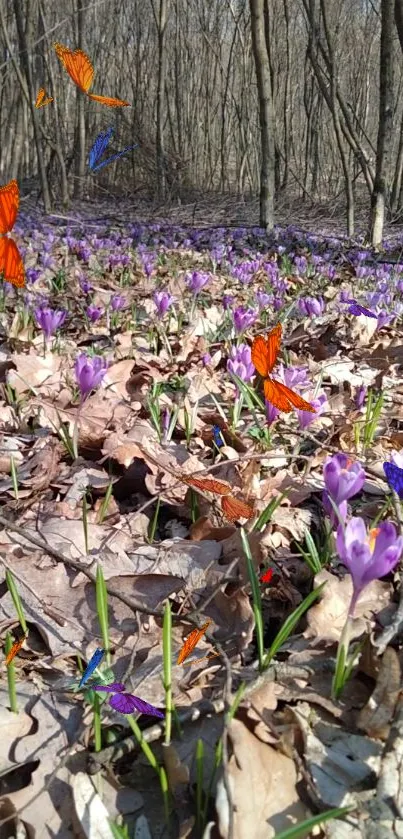 Purple flowers and butterflies in a spring forest meadow.