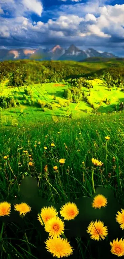 Lush green meadow with yellow flowers and mountains.