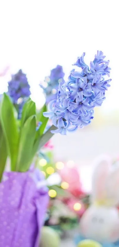 Purple hyacinth flowers with Easter decor in background.