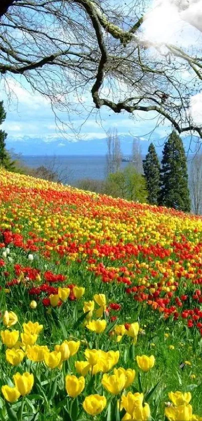 Colorful tulips bloom under a large tree beside a tranquil lake.