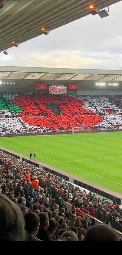 Stadium crowd with a giant poppy display.