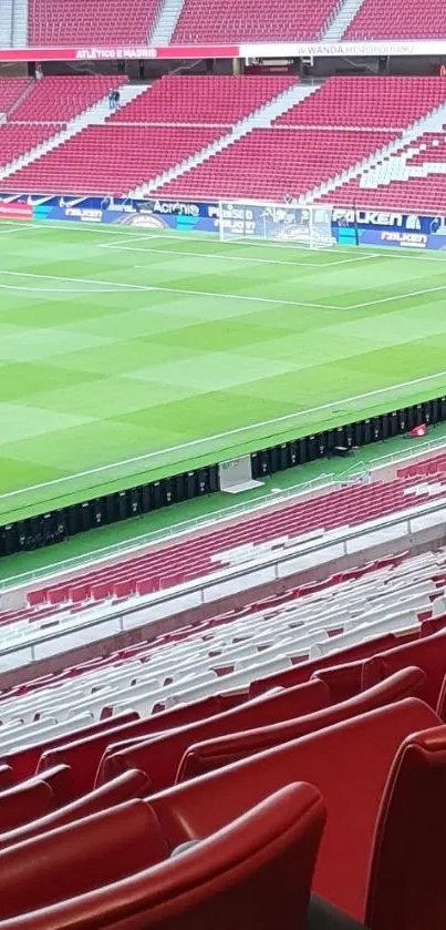 Stadium seats with green field in vibrant sport setting.