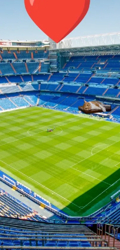 Vibrant green and blue stadium view wallpaper for mobile.