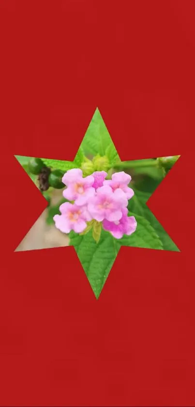 Pink flower in a green star cutout on red background wallpaper.