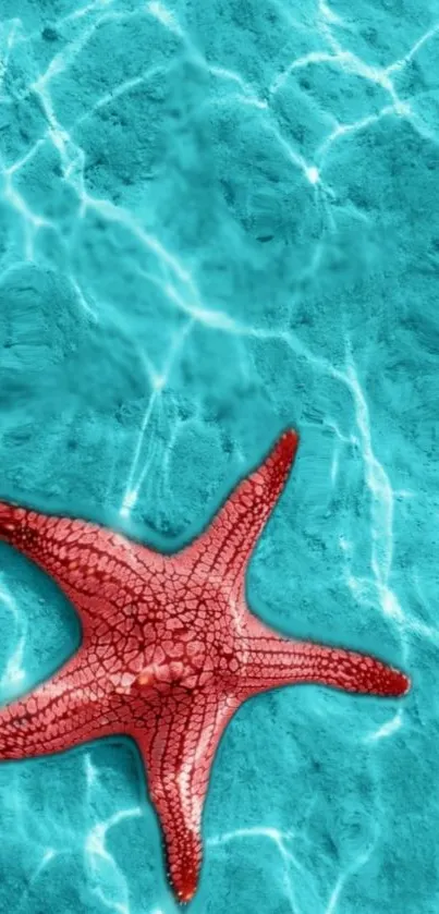 Red starfish on a turquoise ocean background mobile wallpaper.