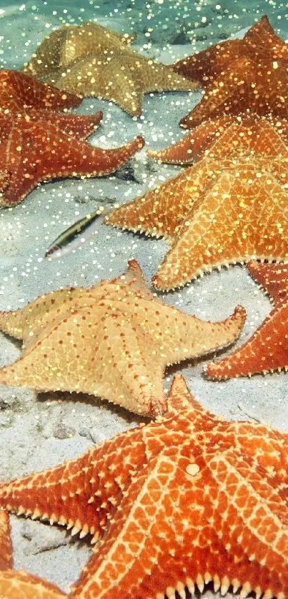 Vibrant starfish scattered on the ocean floor, creating a colorful underwater scene.