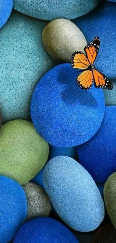 Colorful stones with butterfly wallpaper.