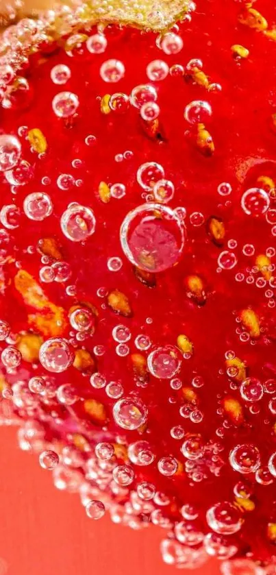 Close-up of a strawberry with bubbles on a red background.