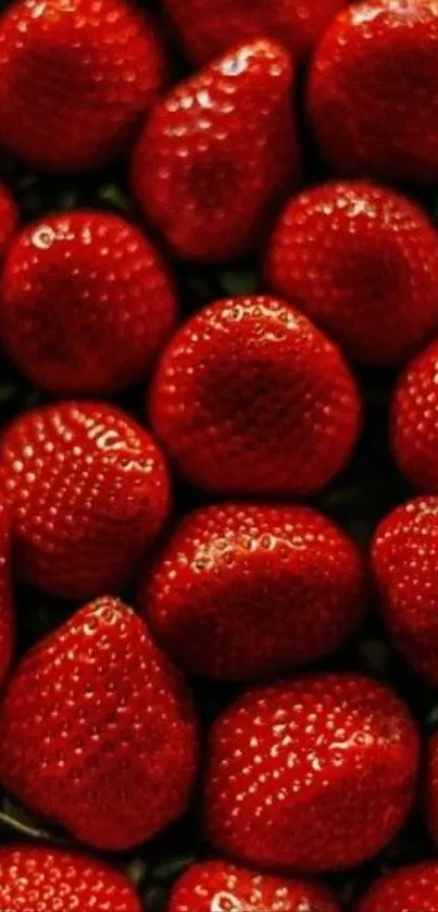 Close-up of vivid red strawberries in a pattern.