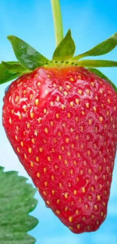 Close-up of a red strawberry with green leaves and blue sky background.