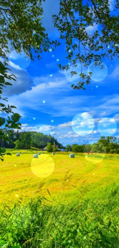 Vibrant summer field with blue sky and glowing bokeh.