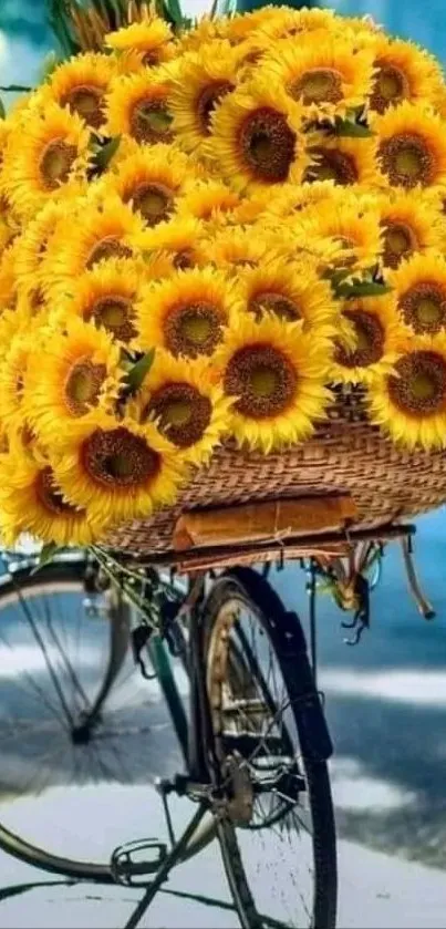 Vibrant sunflowers in a basket on a bicycle.