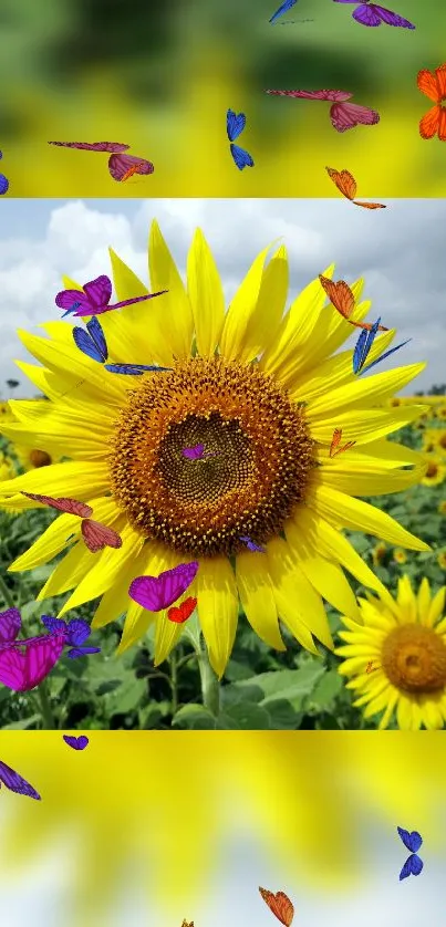 Vibrant sunflower with butterflies wallpaper.