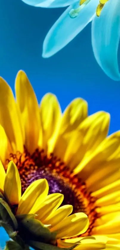 Vibrant sunflower and blue flower wallpaper with rich blue background.