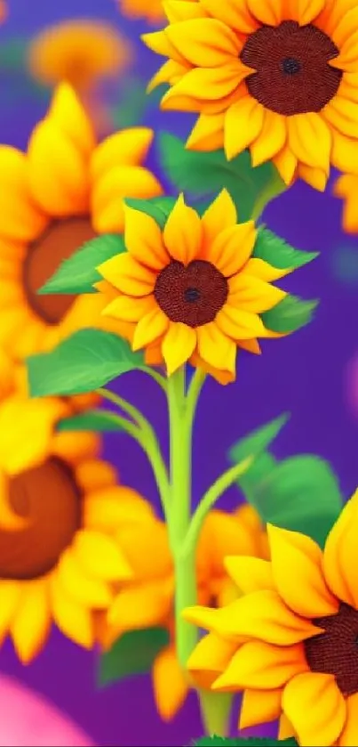 Vibrant sunflower wallpaper with colorful blossoms and a purple backdrop.