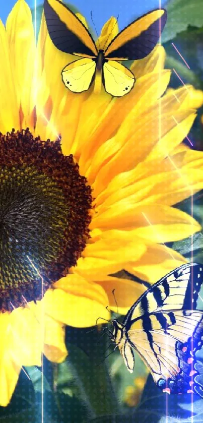 Bright sunflower wallpaper with butterflies and blue sky.