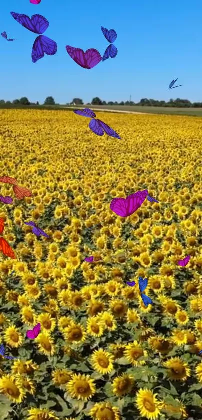 Sunflower field with colorful butterflies under a blue sky.