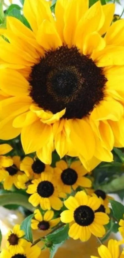 Vibrant sunflowers with yellow petals on mobile wallpaper.