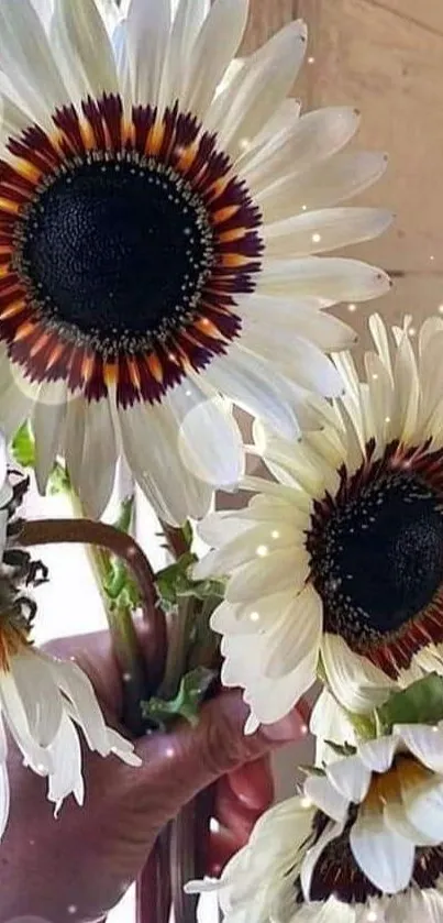 Hand holding bright sunflowers in natural light, perfect for a nature-themed wallpaper.