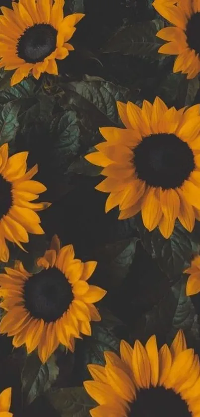 A vibrant wallpaper with yellow sunflowers and green leaves.