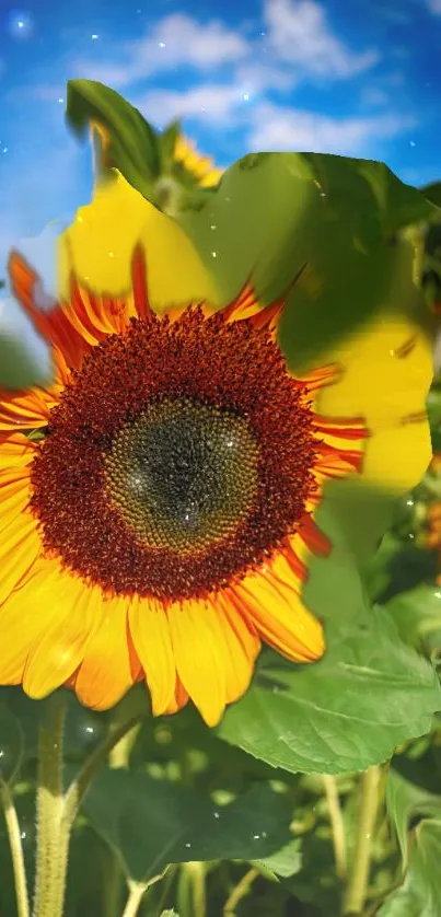 Close-up of a vibrant sunflower against a blue sky background.