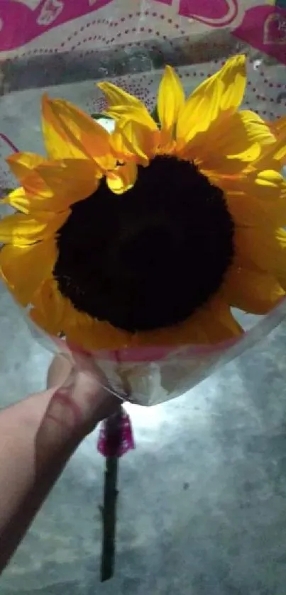 A hand holds a sunflower wrapped in pink paper against a blurred gray background.