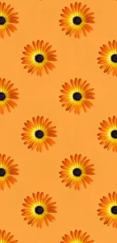 Orange wallpaper with sunflower pattern