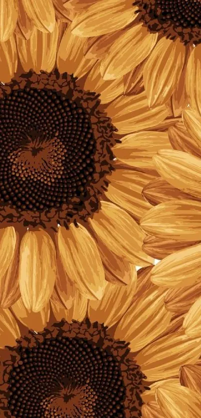 A vibrant sunflower wallpaper with yellow petals and dark centers.