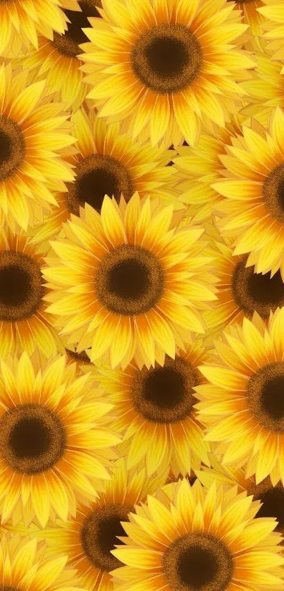 Bright yellow sunflower pattern phone wallpaper with golden petals.