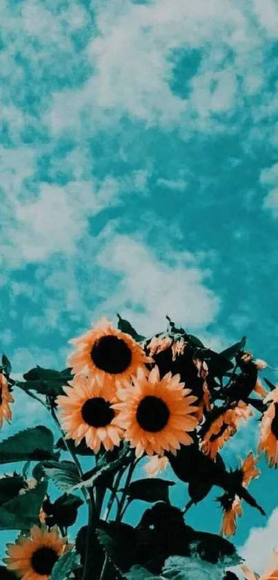 Sunflower field under a vibrant blue sky.