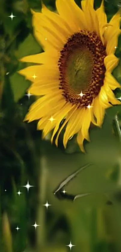 Vibrant sunflower with sparkles on green background.