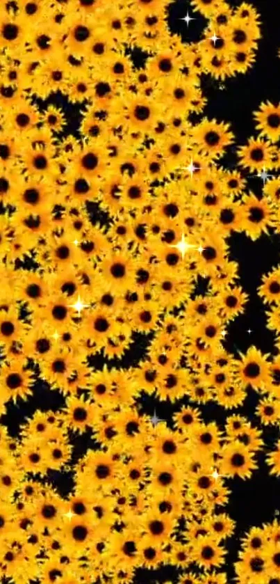 Vibrant sunflower wallpaper with a dark background.