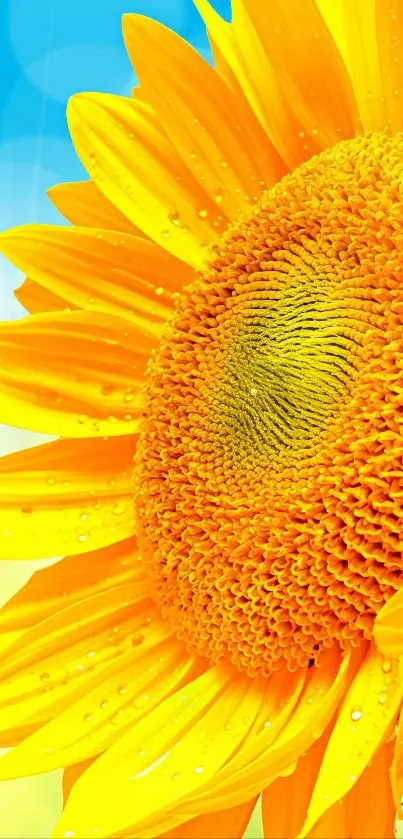 Close-up of a vibrant sunflower against a blue sky.