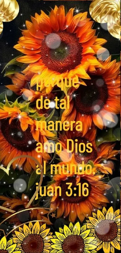 Vibrant orange sunflowers with inspirational text from John 3:16 on a dark background.