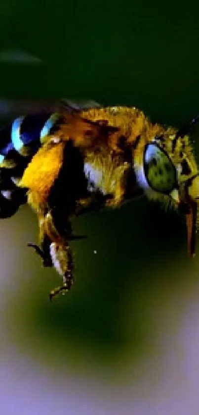 A vibrant sunflower with a bee against a green leaf background.