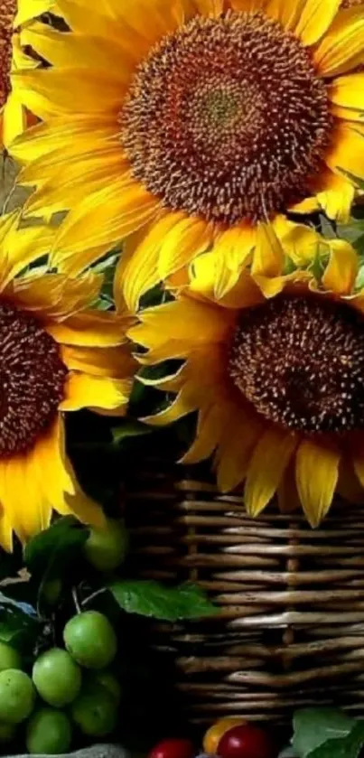 Vibrant sunflowers in a woven basket wallpaper.
