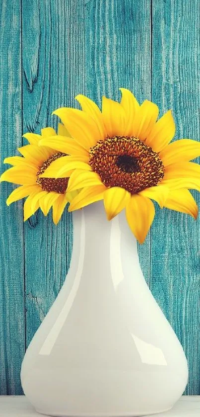 Sunflowers in white vase against rustic blue wood backdrop.