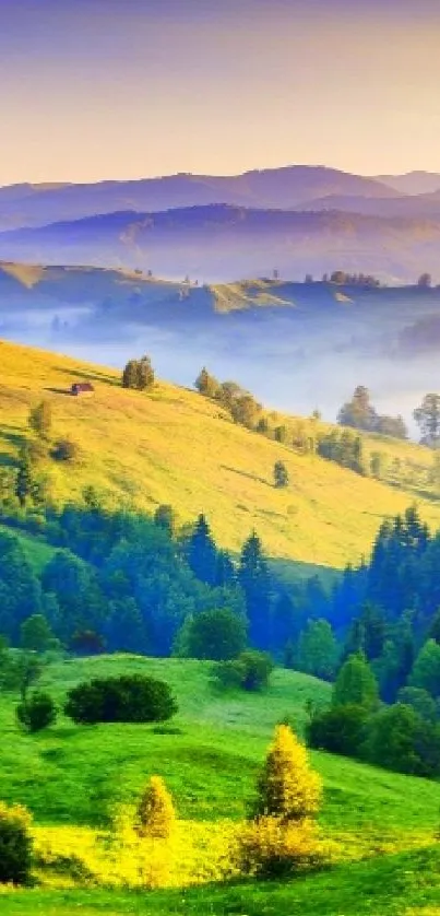 Green hills under a vibrant sunrise with misty mountains in the background.