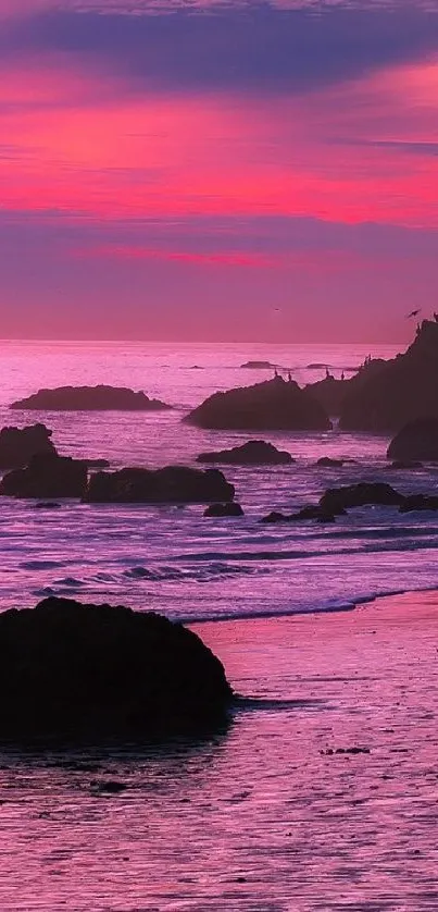 Vibrant sunset over rocky beach with pink and purple hues.