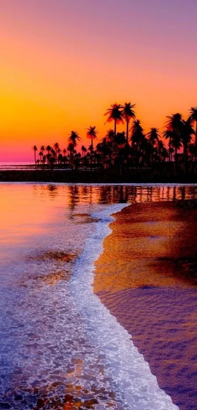 A vibrant sunset beach scene with palm trees and colorful sky.