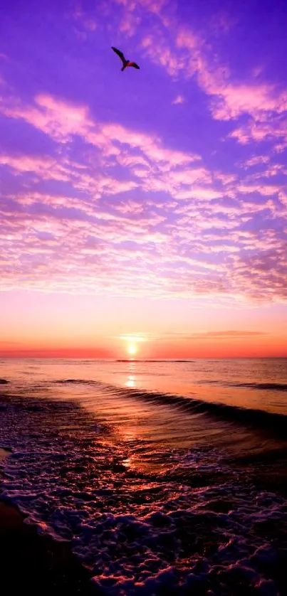 Vibrant purple sunset over a calm beach with ocean waves.