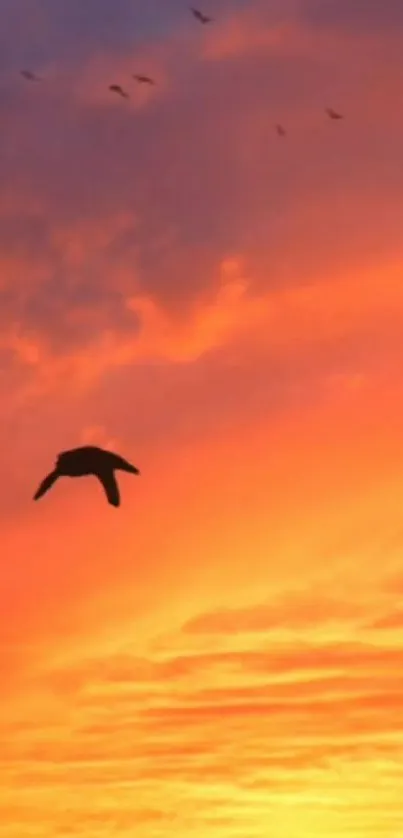 Silhouetted bird flying across a vibrant orange sunset sky.