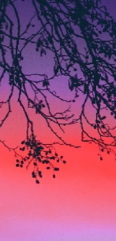 Silhouette branches over a pink and purple sunset sky.