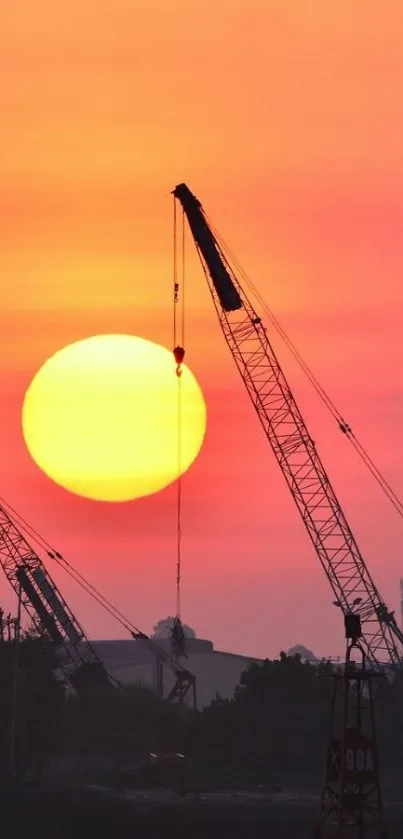 Silhouette of cranes against an orange sunset sky.