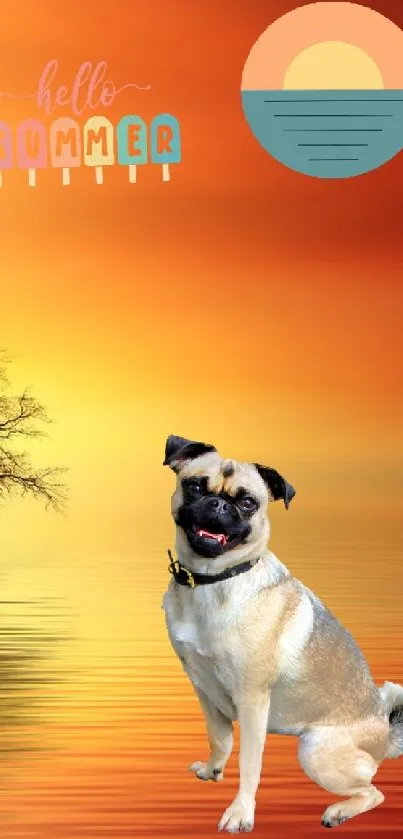 Vibrant sunset wallpaper featuring a dog by the water.